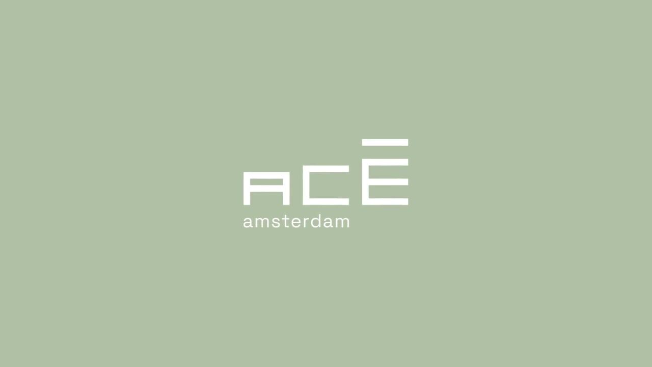 Bekijk video van ACE Amsterdam fase 2