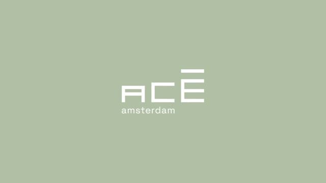 Bekijk video van ACE Amsterdam fase 2