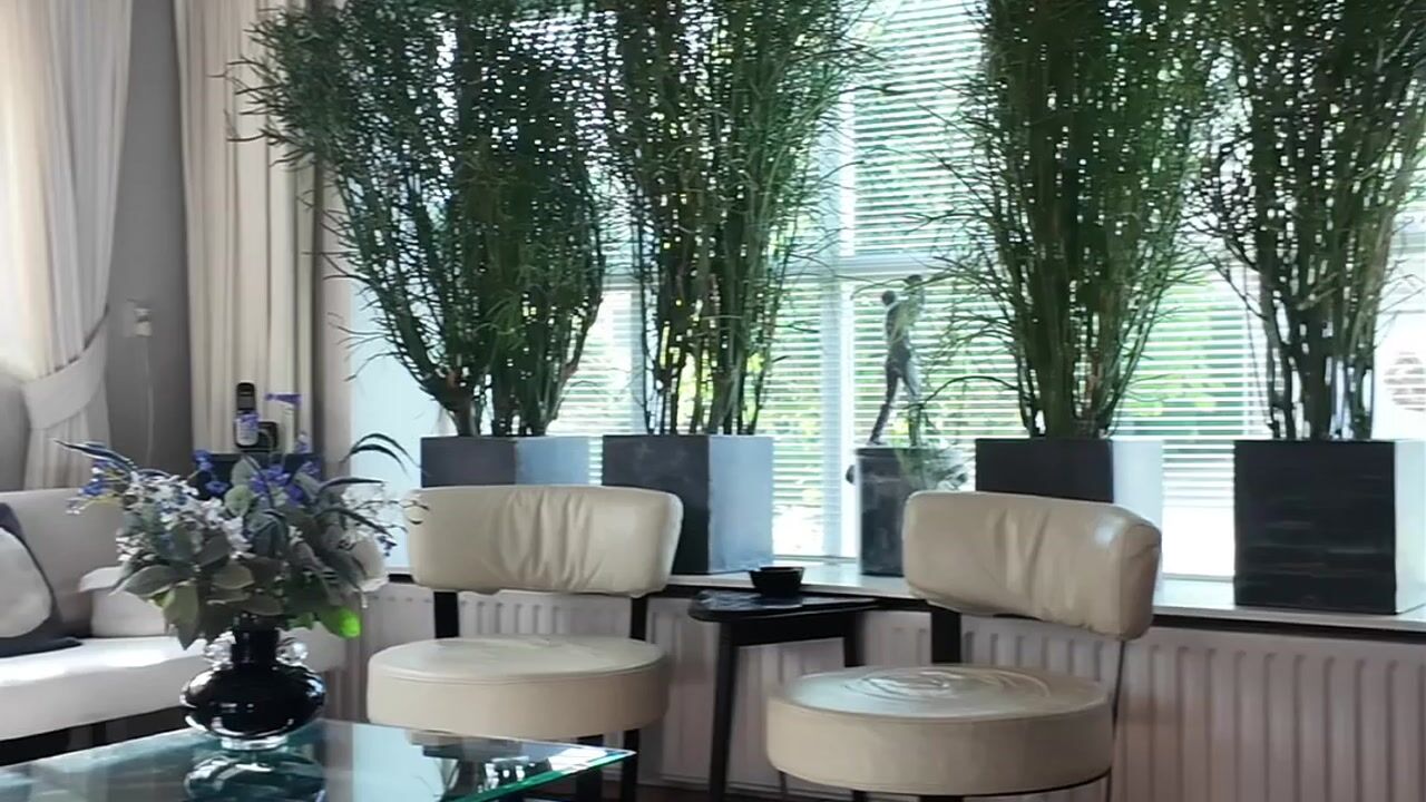 Video van van Wieldrechtstraat 1