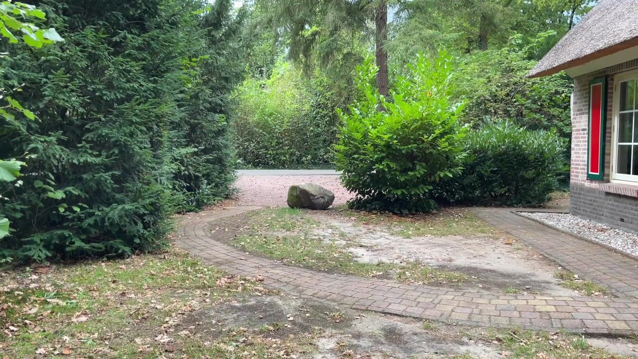 Video van Buinerweg 8-232