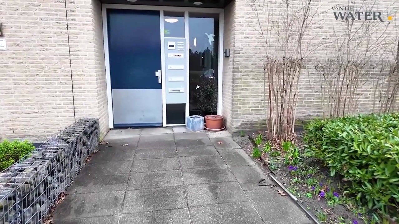 Video van Pieter Stastokstraat 221