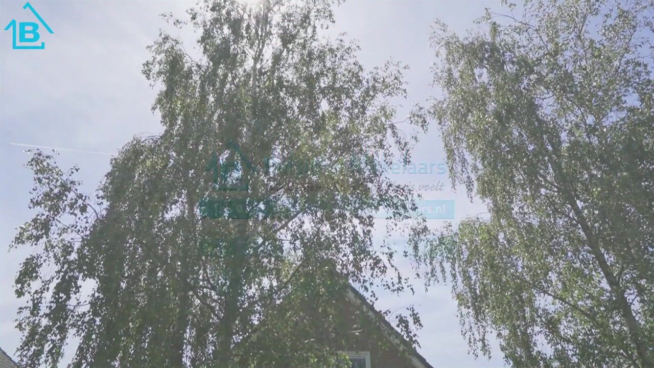 Video of Fogelsanghstate 24