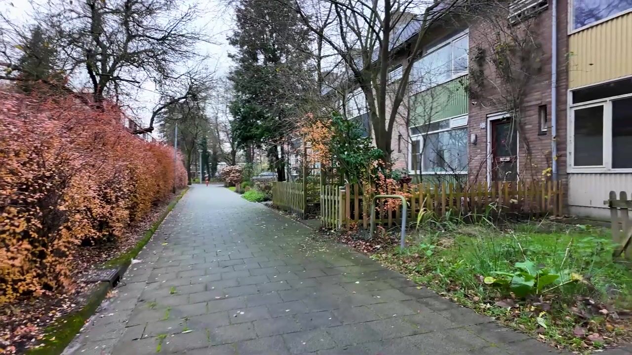 Video of Abeelstraat 36
