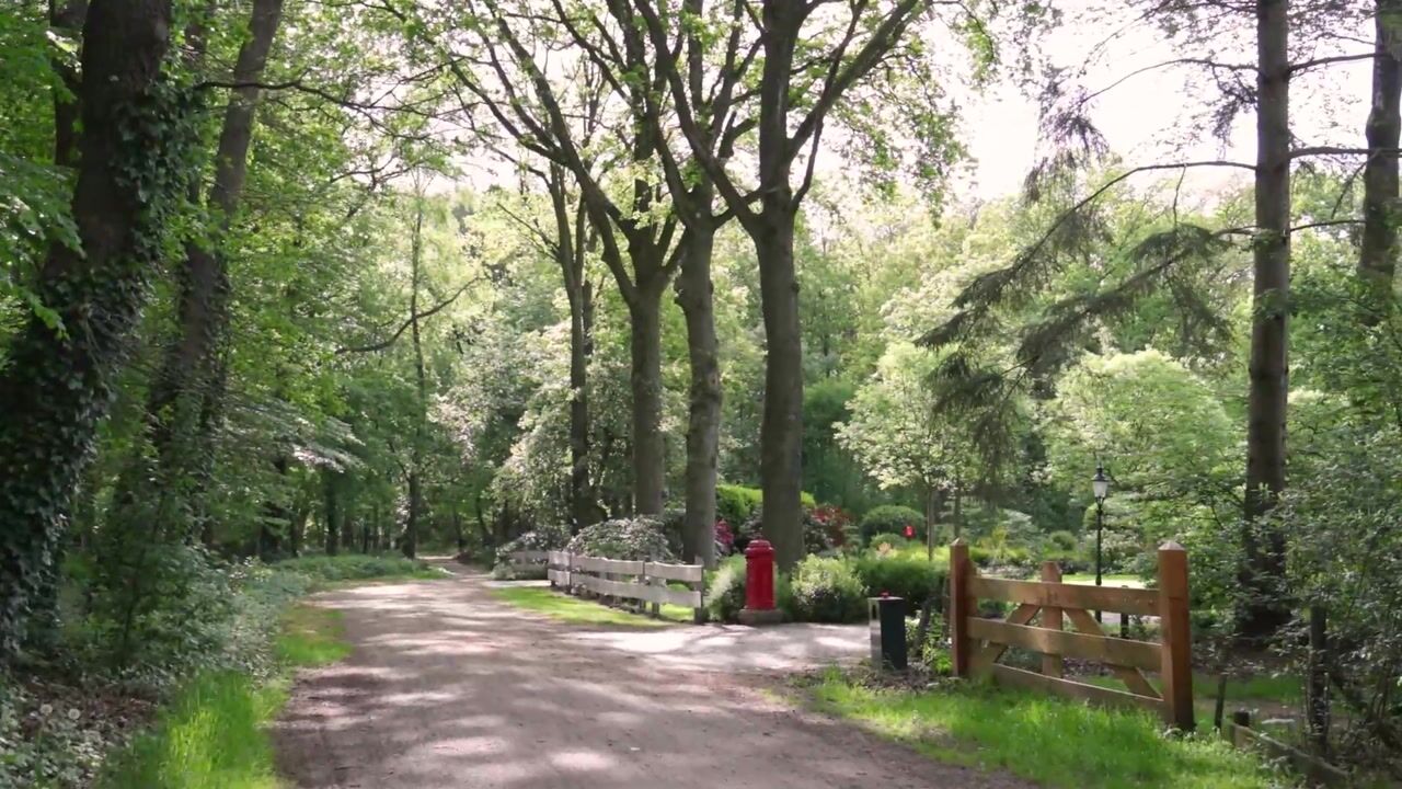 Video van Polhaarweg 7
