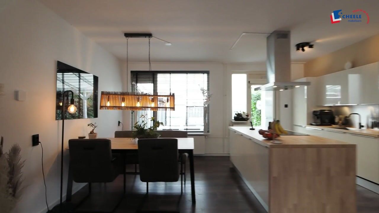 Video van Schijfmos 12