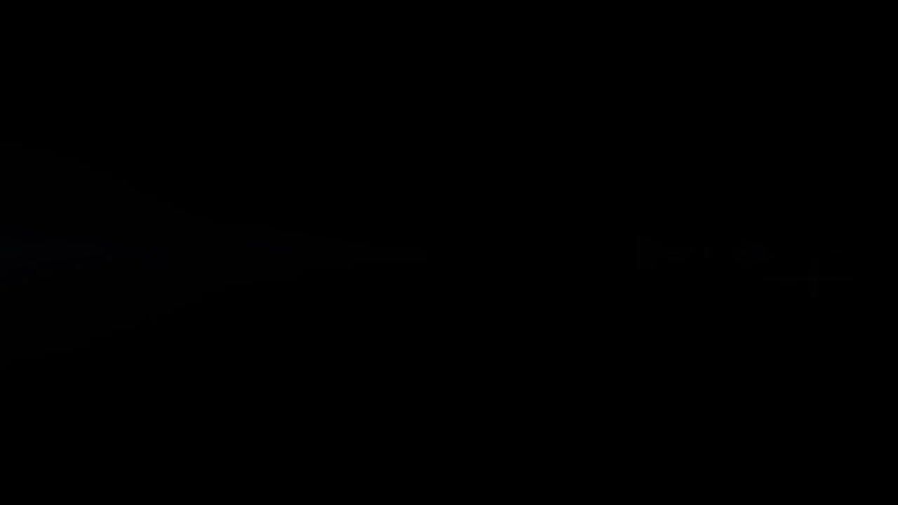 Video of Wildertkade 19