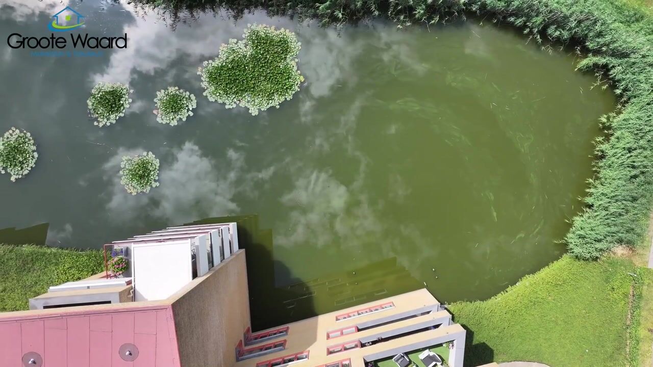 Video van Dokter Kroesenring 42