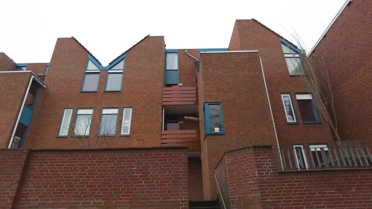 Video of Petrus Campersingel 31-5