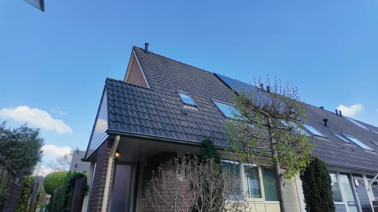 Video van Moreelsestraat 36