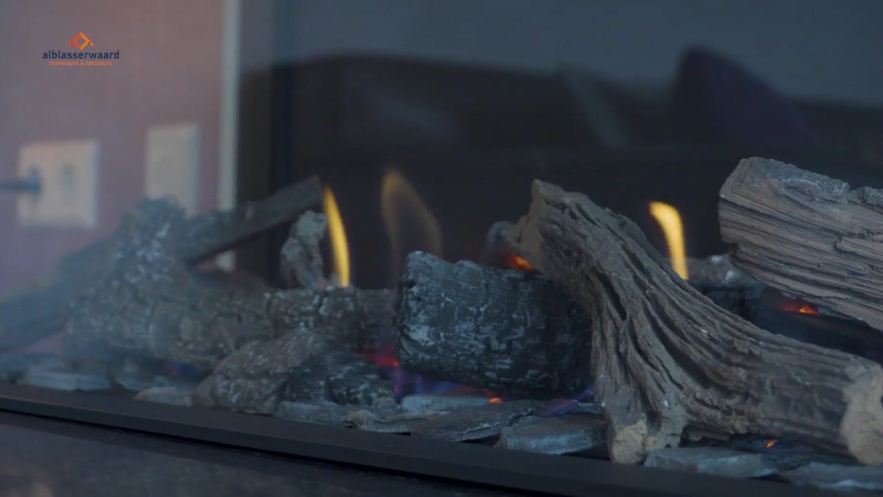 Video van Dreesstraat 19