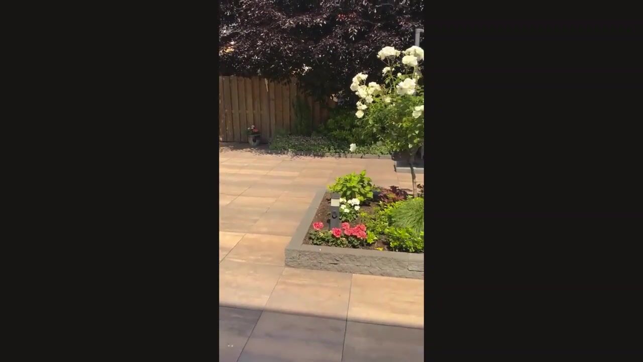 Video of Adriaen van Ostadestraat 7