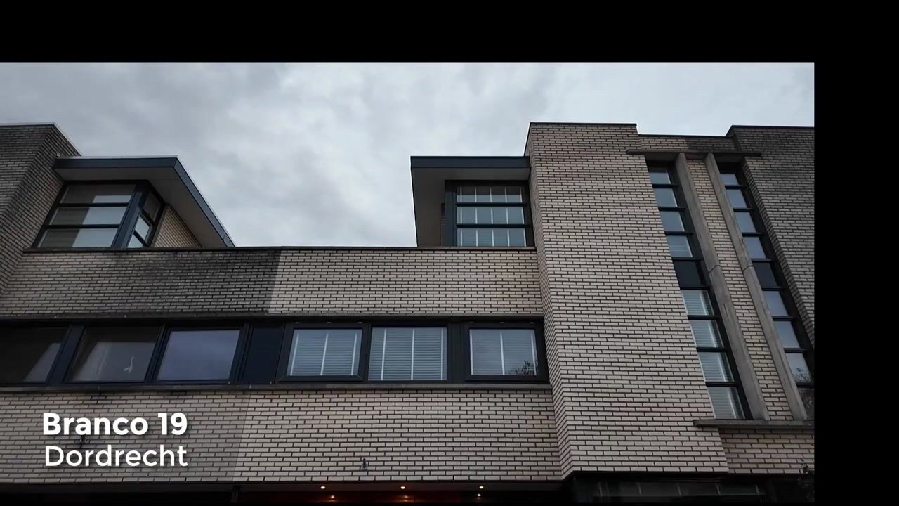 Video of Branco 19