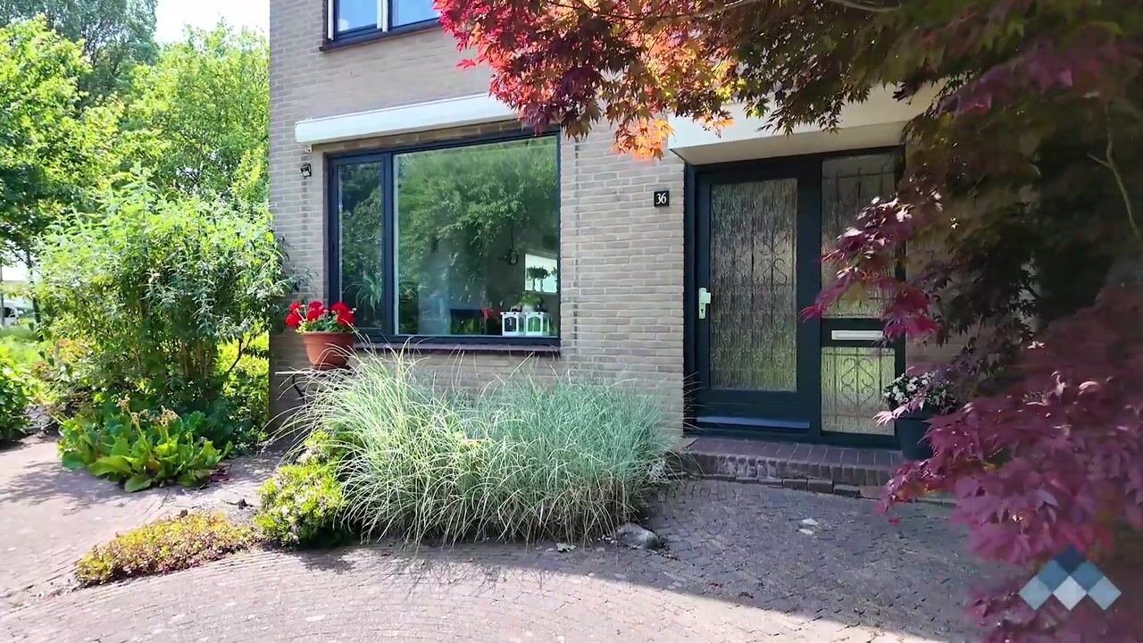 Video van Woudestein 36