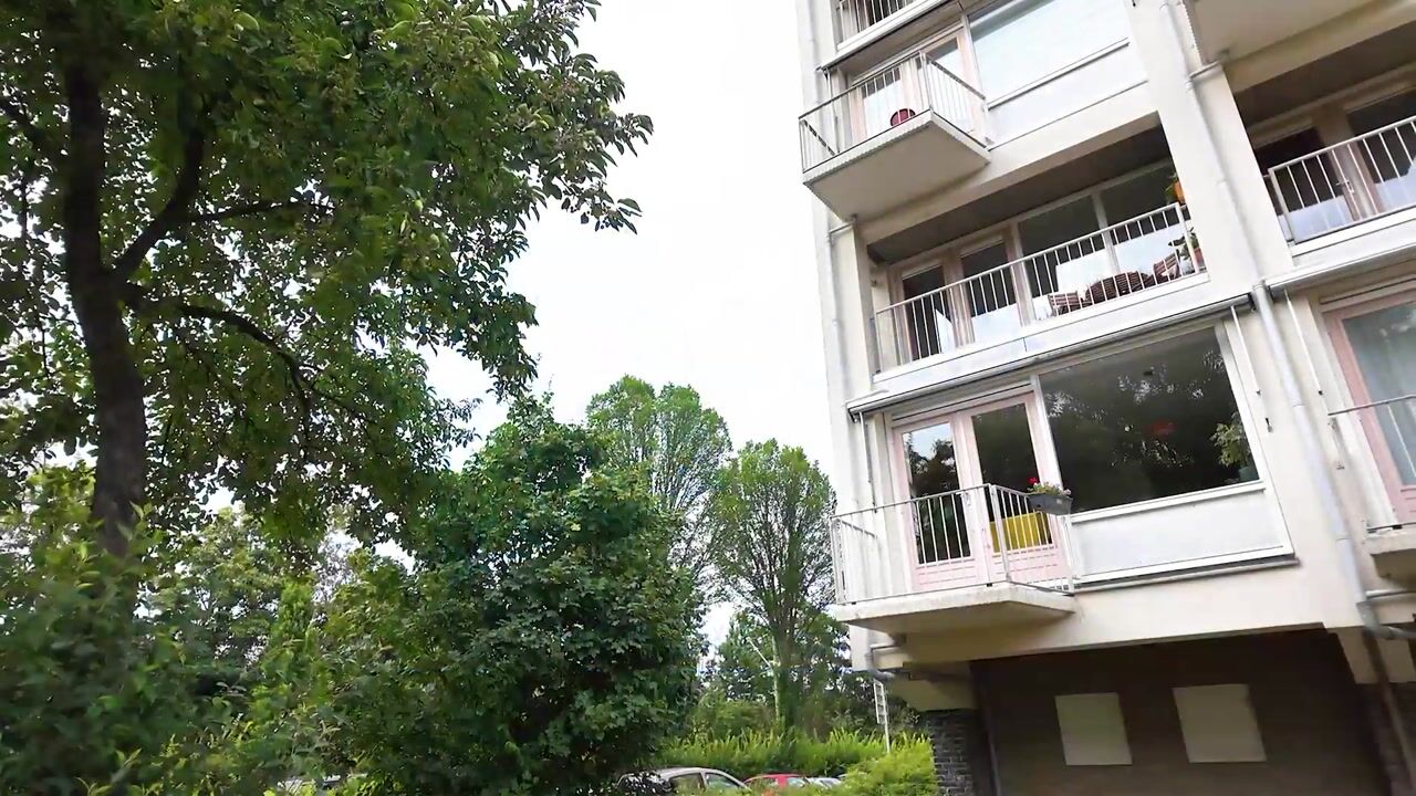 Video van Meppelweg 571