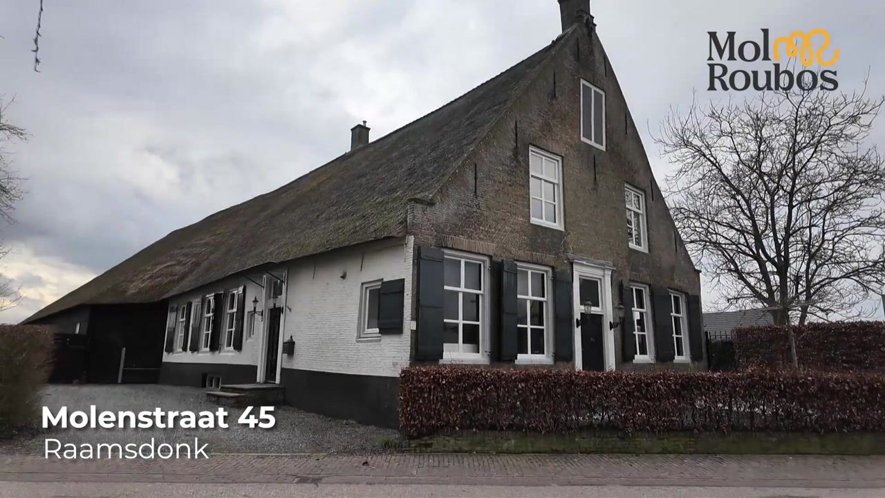 Video van Molenstraat 45