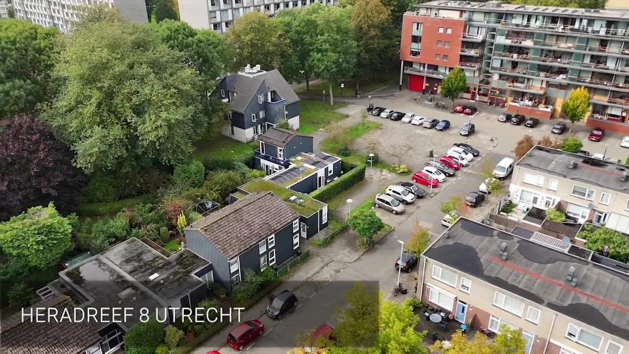 Video of Heradreef 8