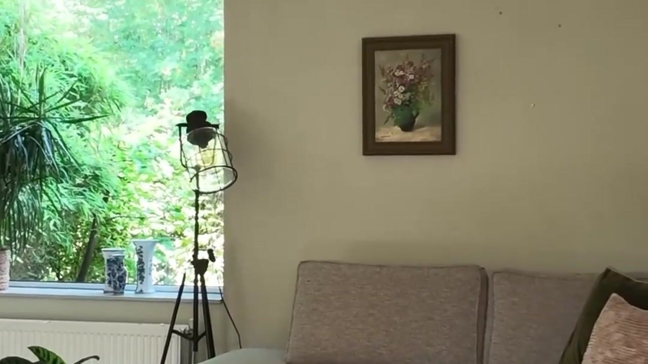 Video van Fonteinkruidlaan 16