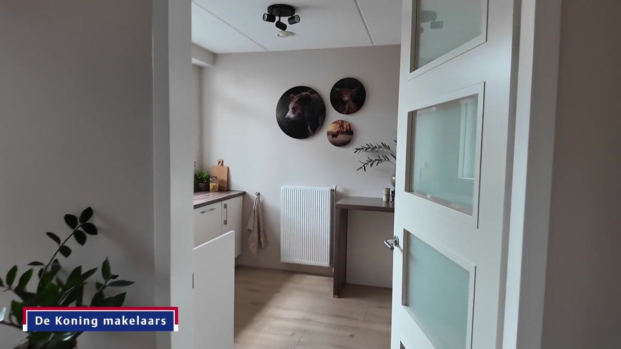Video van Hertog Albrechtstraat 84