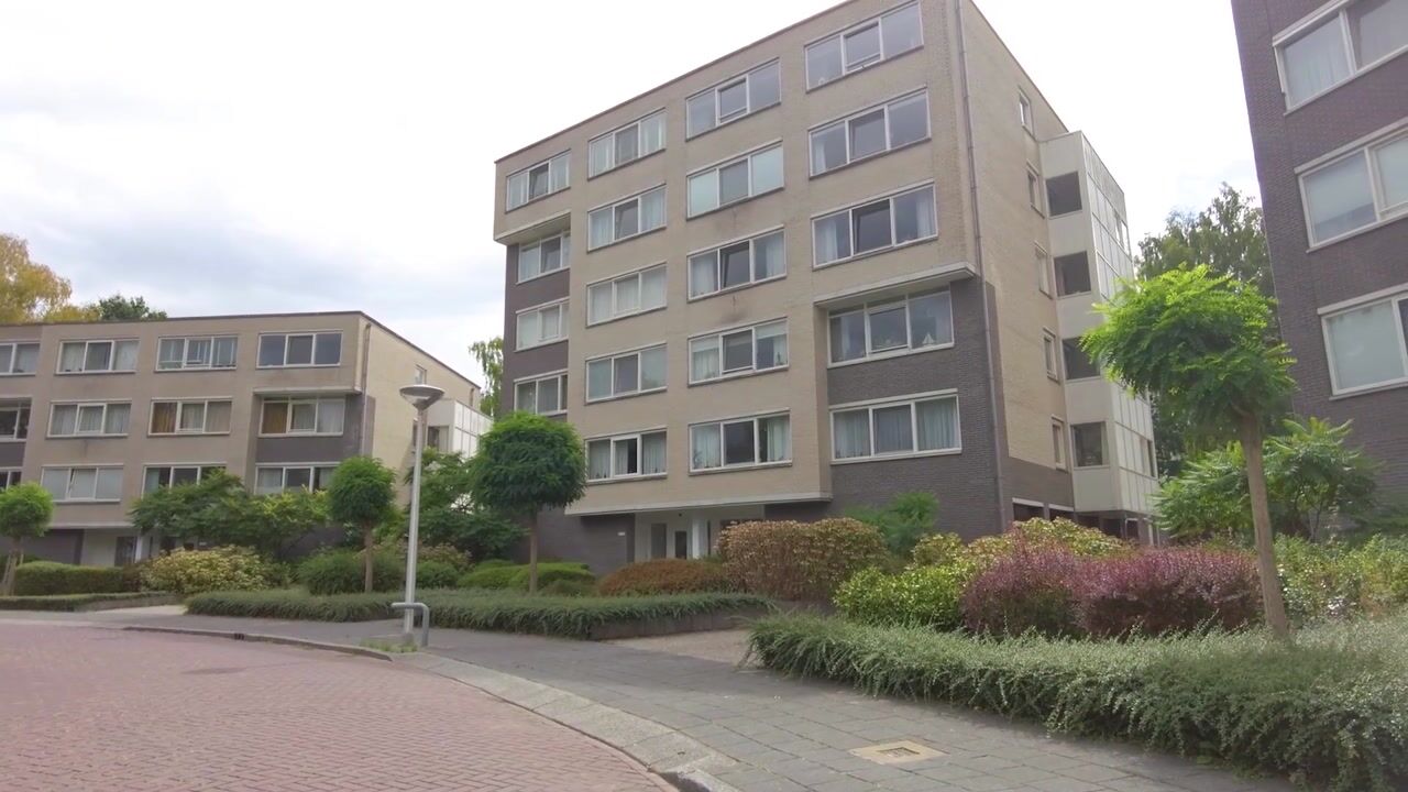 Video van Kastanjelaan 331