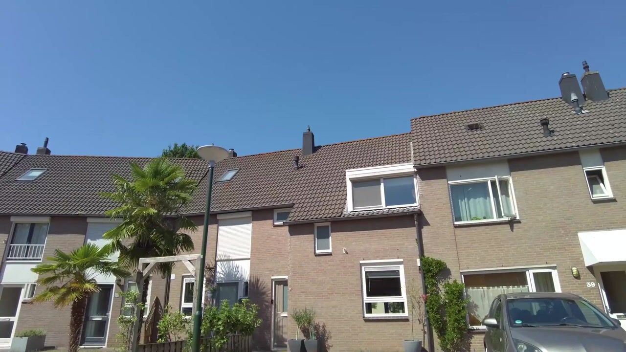 Video of Schutterijakker 37