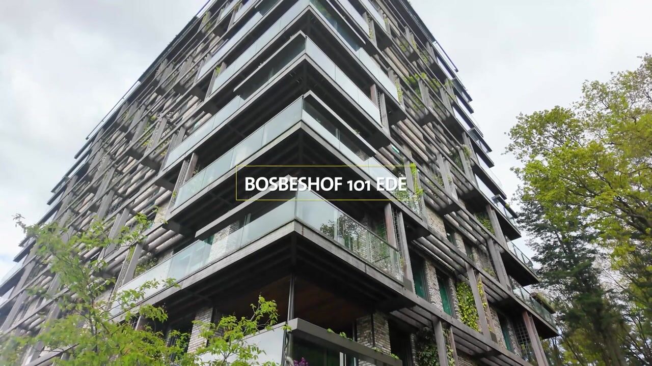 Video van Bosbeshof 101