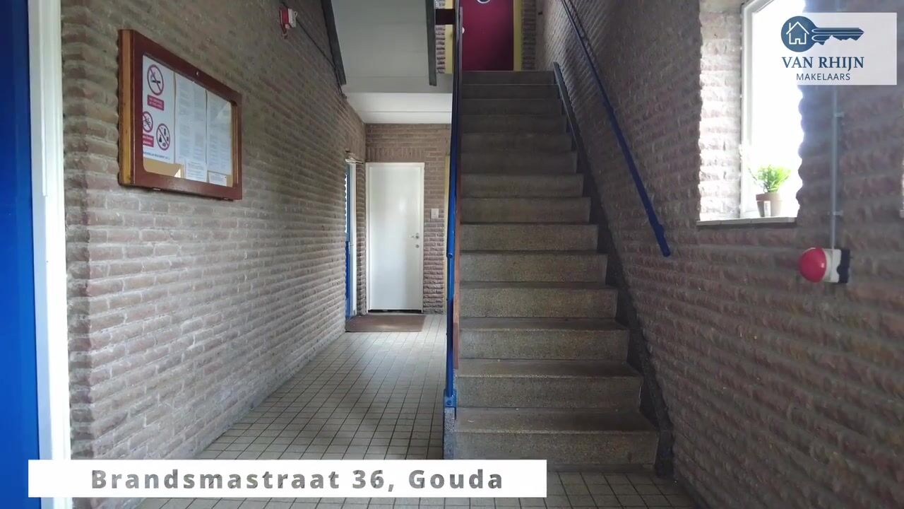 Video van Brandsmastraat 36
