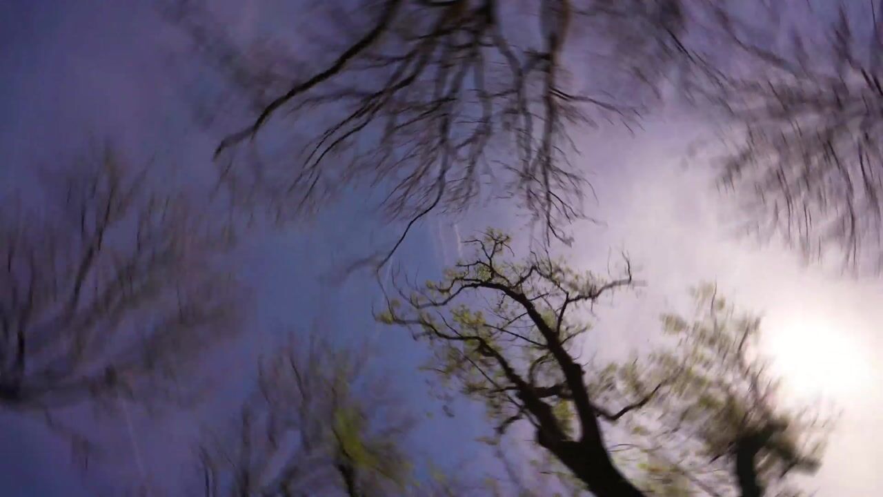 Video of de Virieusingel 10-A