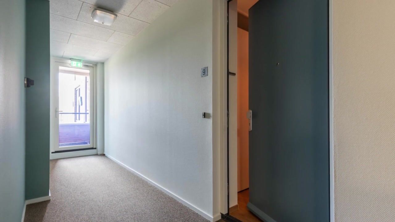 Video van Leeuwerik 9