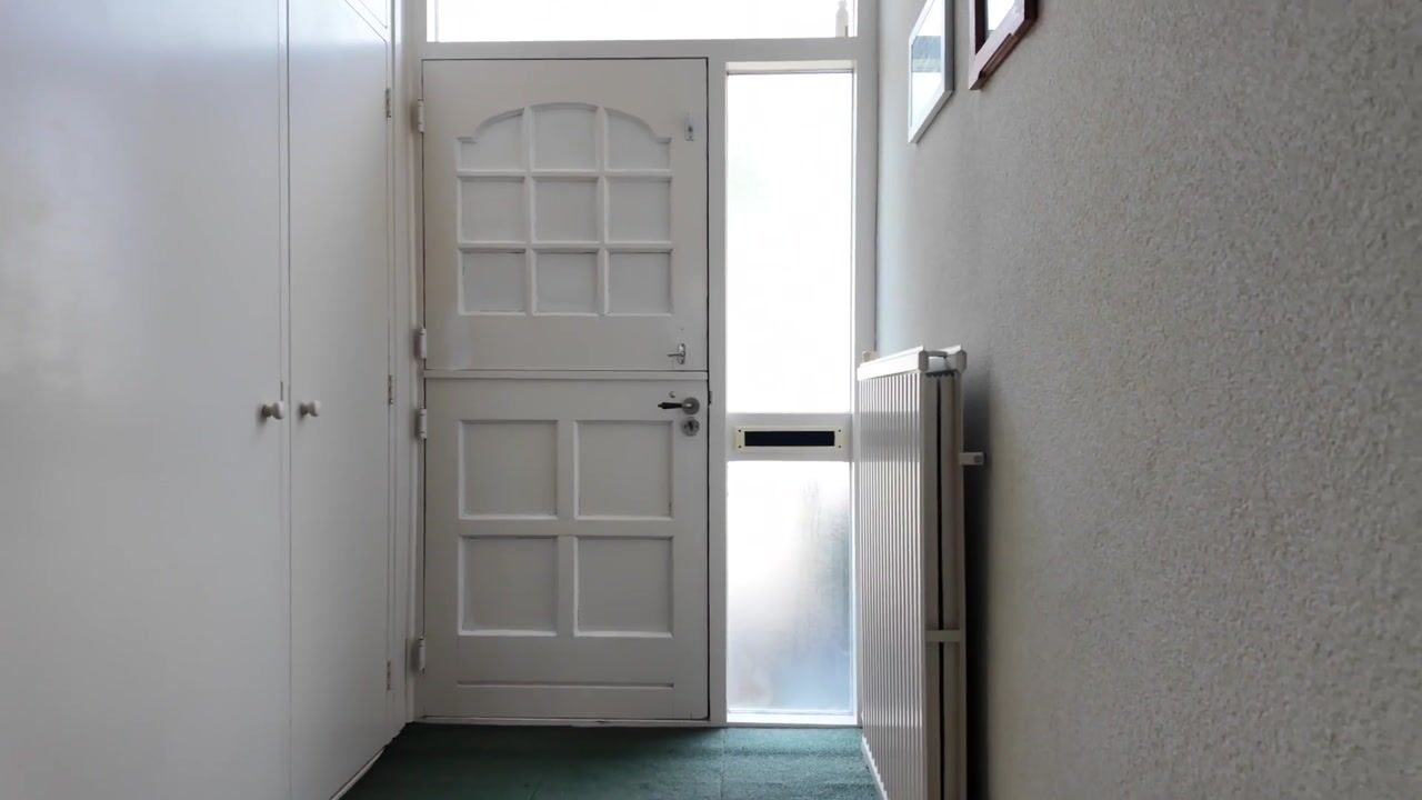 Video of Heidehof 29