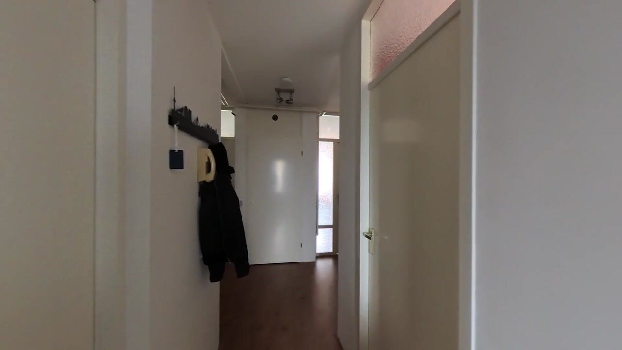 Video van Griendwerkerstraat 17