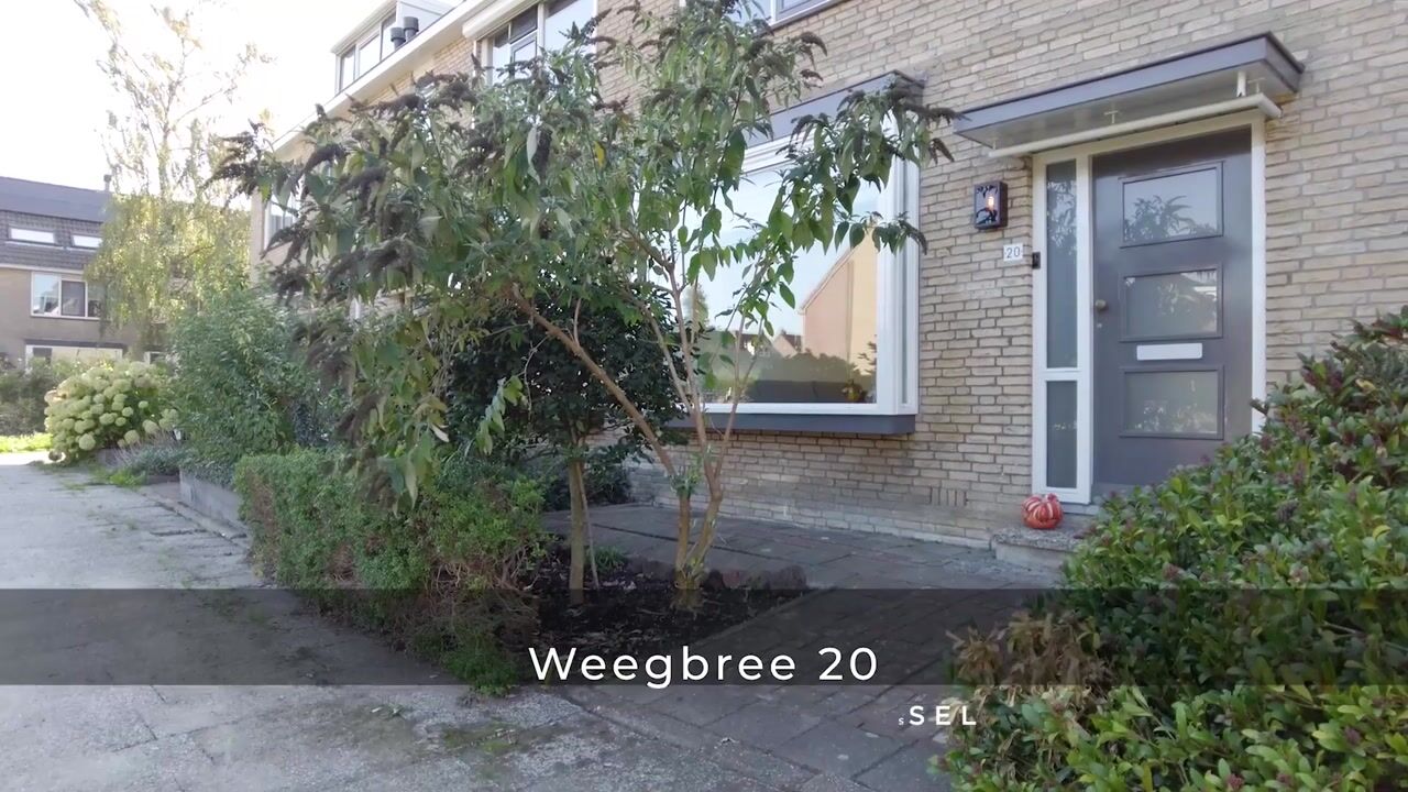 Video van Weegbree 20