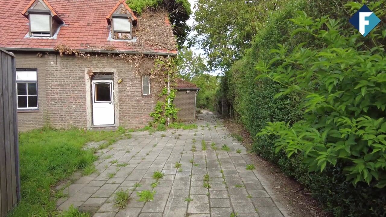 Video van Eiland 29-A