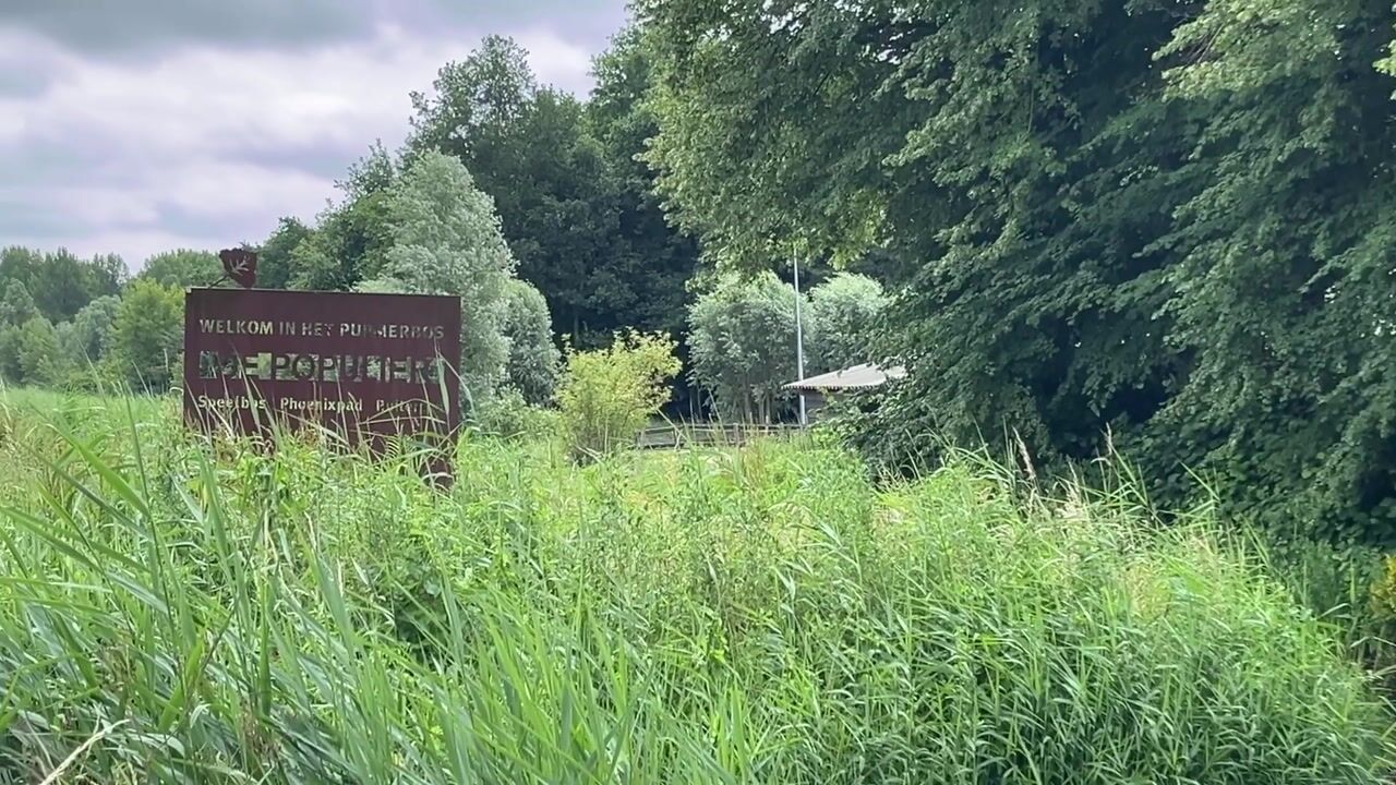 Video van Brantjesstraat 38