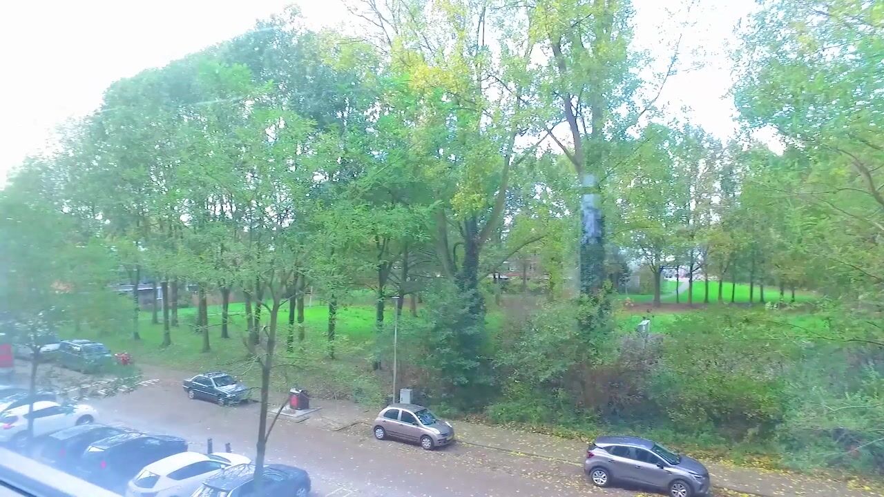 Video van Dommeringdreef 215