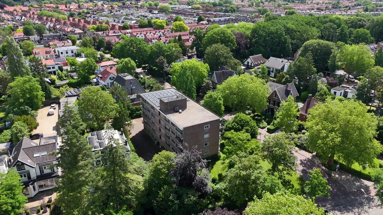 Video van Singel 1