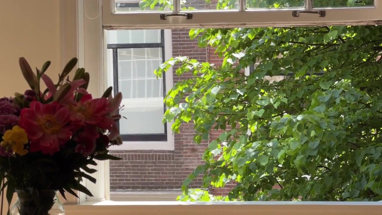 Video van Kerkstraat 261-1
