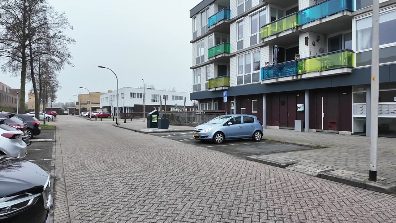 Video of Ter Lips 21