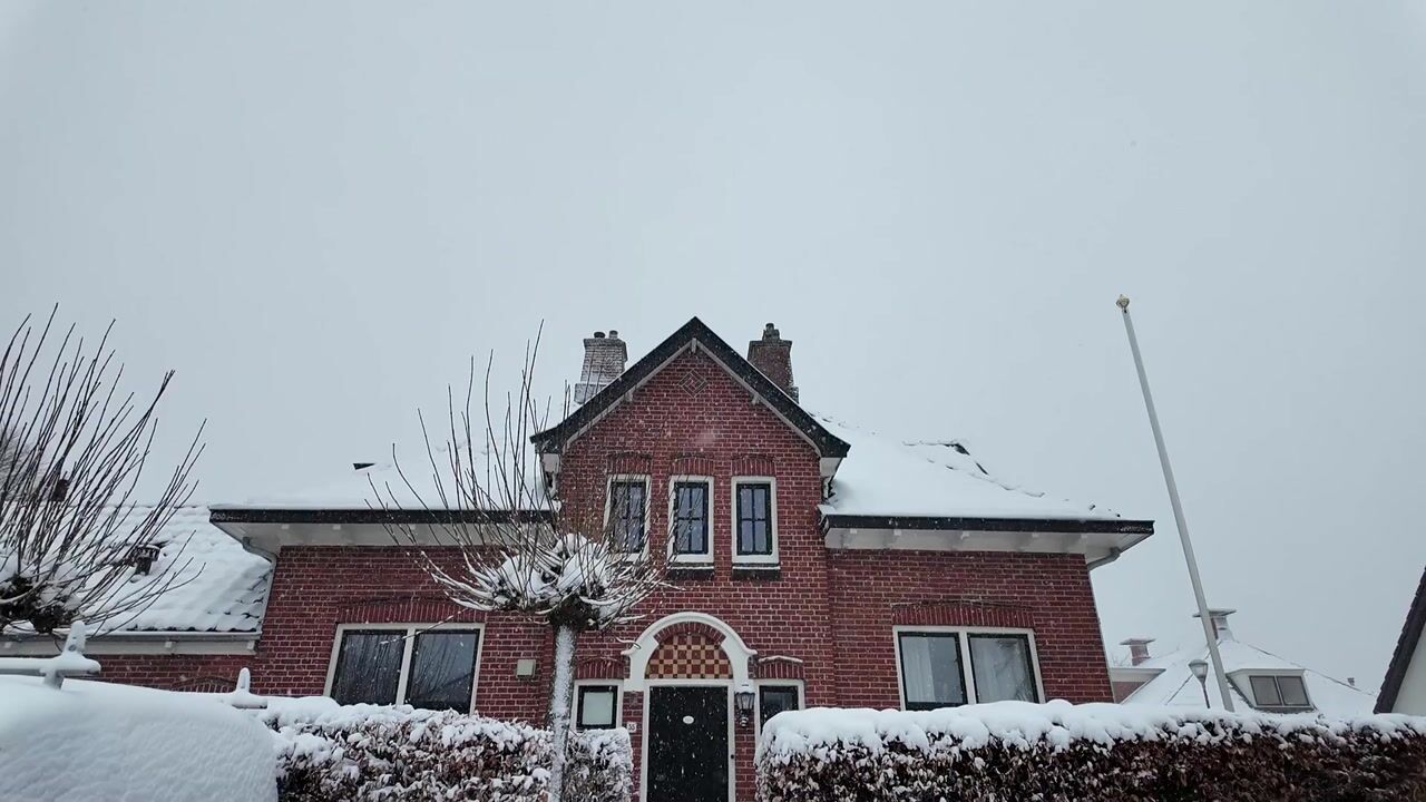 Video van Langestraat 55