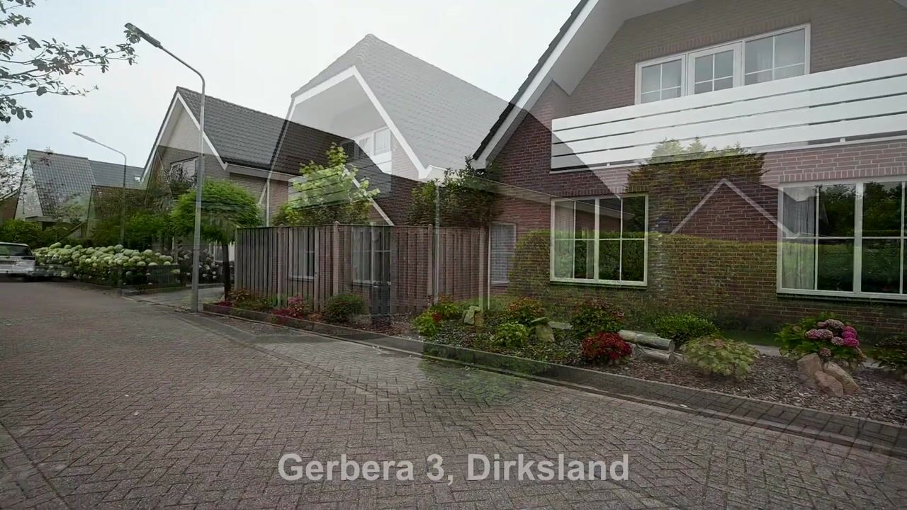 Bekijk video van Gerbera 3