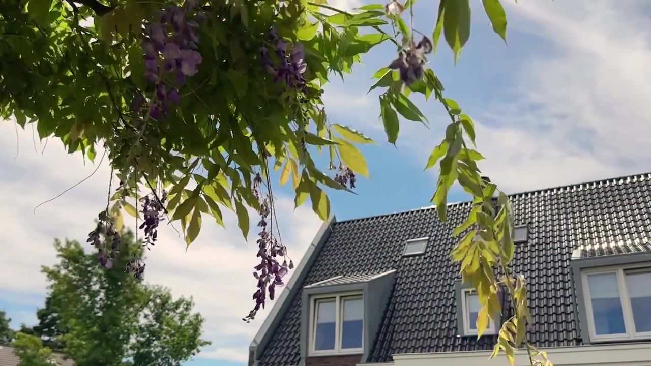 Video van Nassaustraat 7