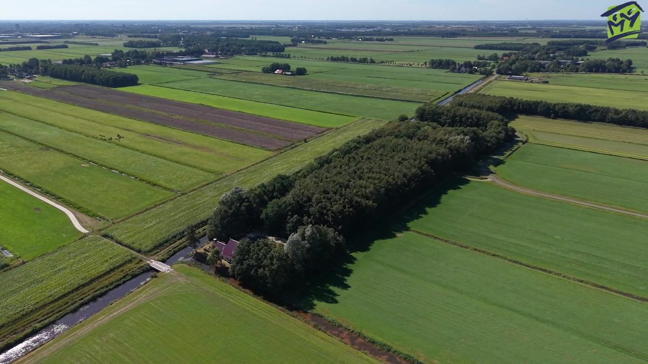 Video van Hooilanden 4