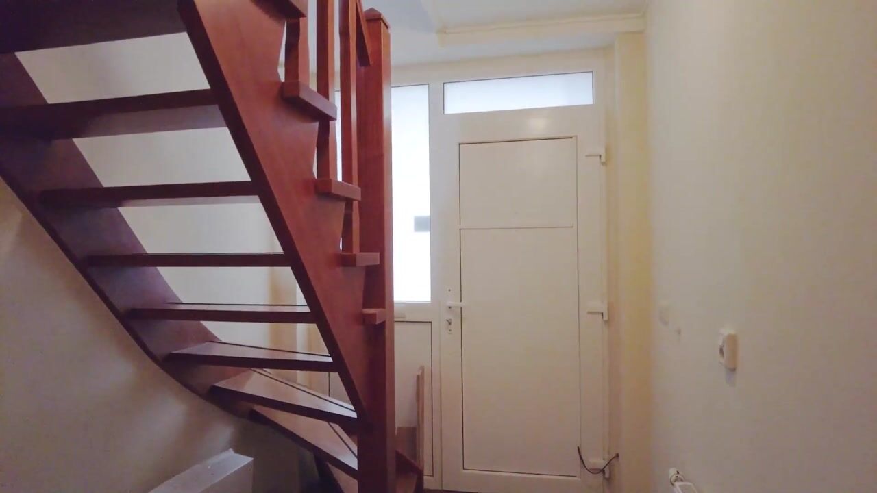 Video of Poppelaar 2