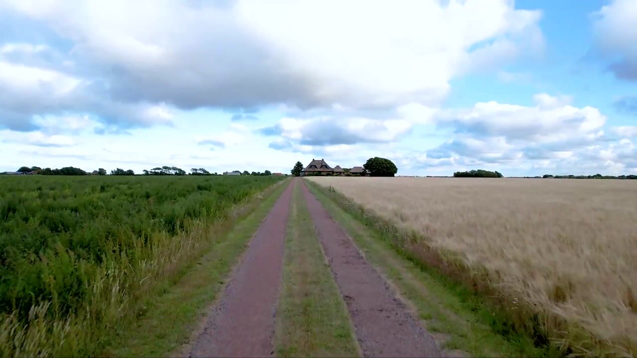 Video van Westerweg 29