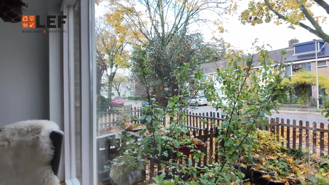 Video of Camphuysenstraat 24