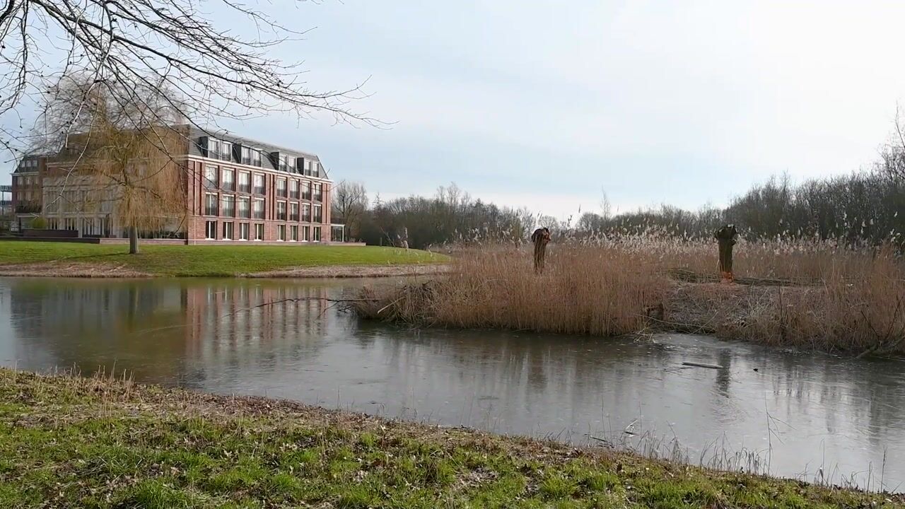 Video van Romanovhof 5