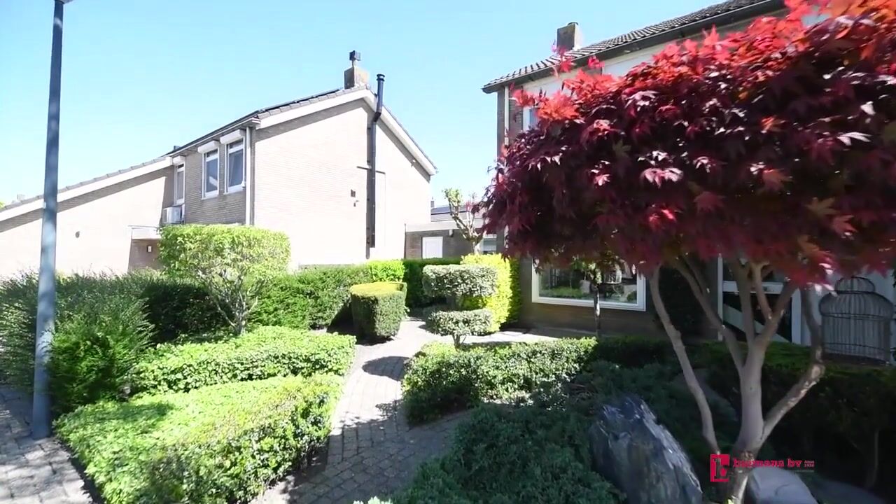 Video of Bronkhorst 46