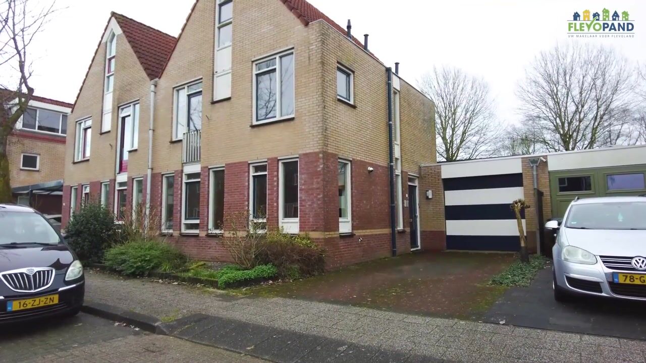 Video van Goudhaver 79