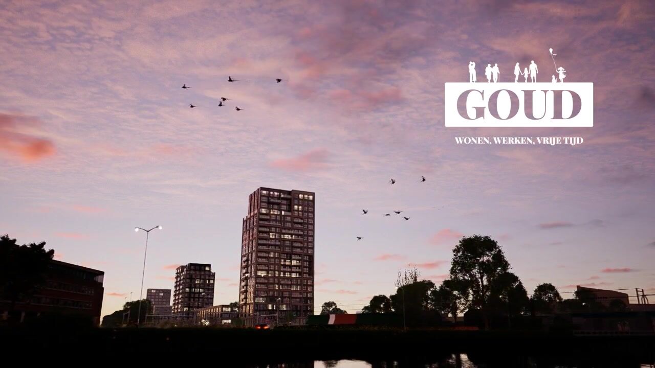 Video van Golda 209