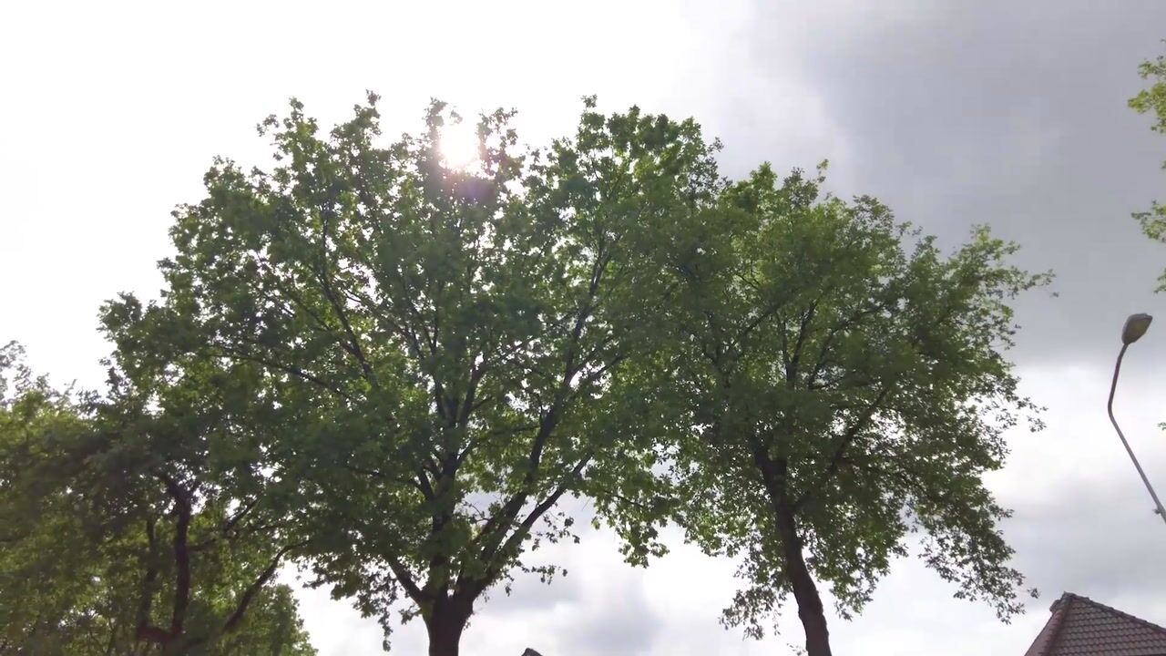 Video van Arnhemseweg 38