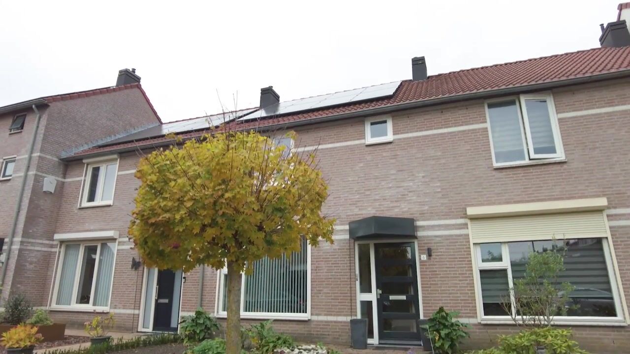 Video of de Esdoorn 6